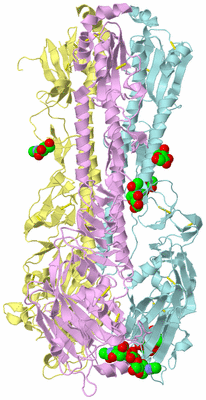 Image Biological Unit 2