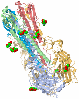 Image Biological Unit 1