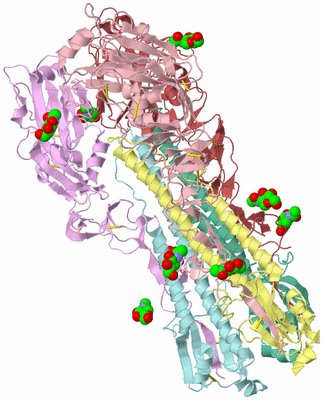 Image Biological Unit 2