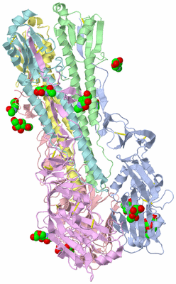 Image Asym./Biol. Unit