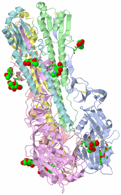 Image Asym./Biol. Unit - sites