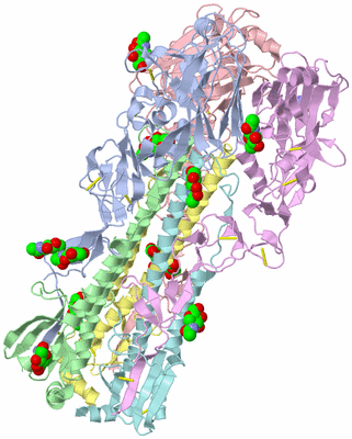 Image Asym./Biol. Unit