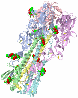 Image Asym./Biol. Unit - sites