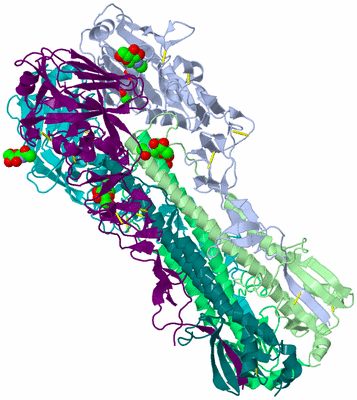 Image Biological Unit 1