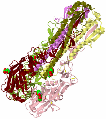 Image Biological Unit 2