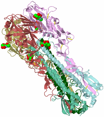 Image Biological Unit 3