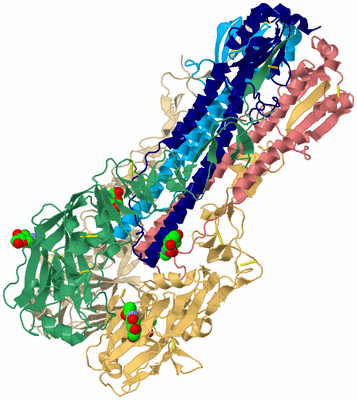 Image Biological Unit 4