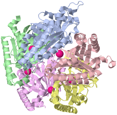 Image Asym./Biol. Unit