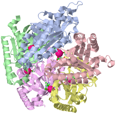 Image Asym./Biol. Unit - sites