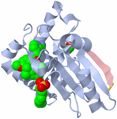 Image Asym./Biol. Unit