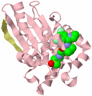 Image Biological Unit 2