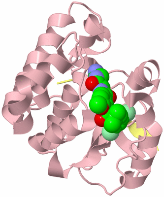 Image Biological Unit 2