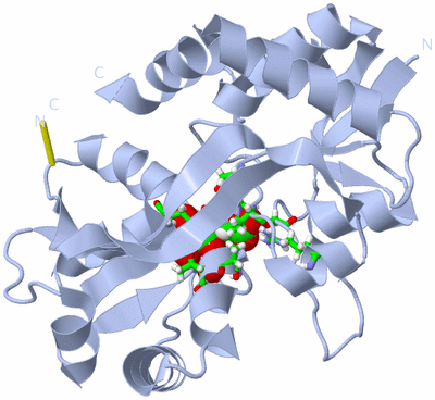 Image Biol. Unit 1 - sites