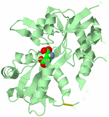 Image Biological Unit 2