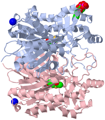 Image Biological Unit 1