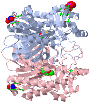 Image Biol. Unit 1 - sites