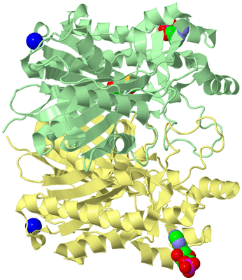 Image Biological Unit 2