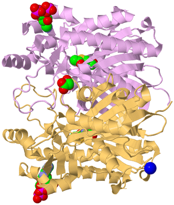 Image Biological Unit 3