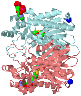 Image Biological Unit 4