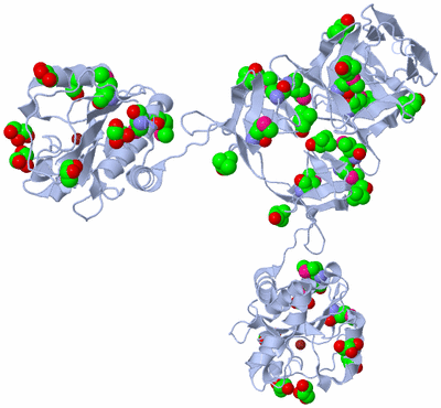 Image Biological Unit 1