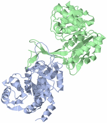 Image Biological Unit 1