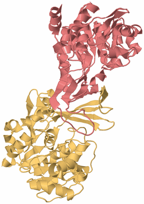 Image Biological Unit 4