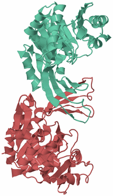 Image Biological Unit 6