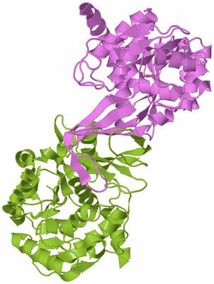 Image Biological Unit 7