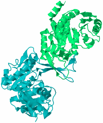 Image Biological Unit 8