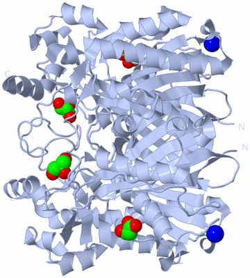 Image Biological Unit 1