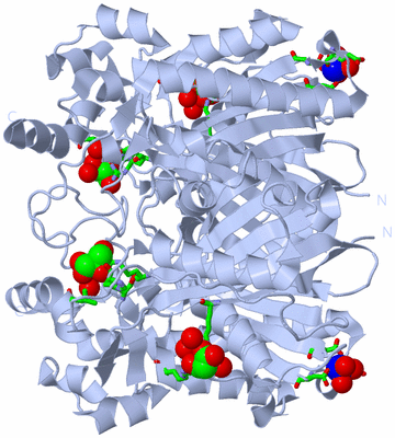 Image Biol. Unit 1 - sites