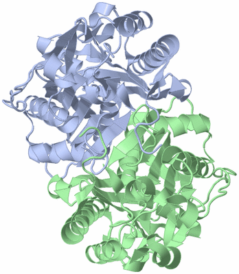 Image Asym./Biol. Unit