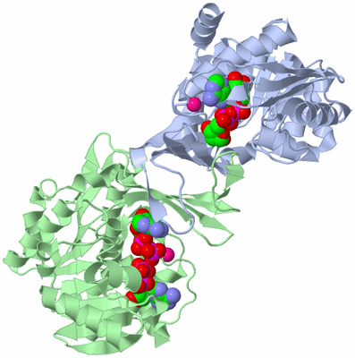 Image Biological Unit 1