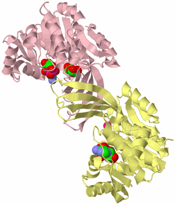 Image Biological Unit 2