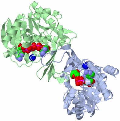 Image Biological Unit 1