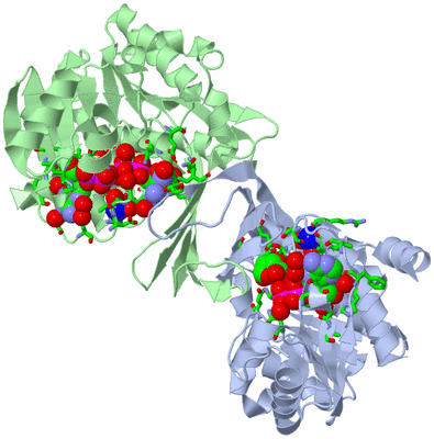 Image Biol. Unit 1 - sites