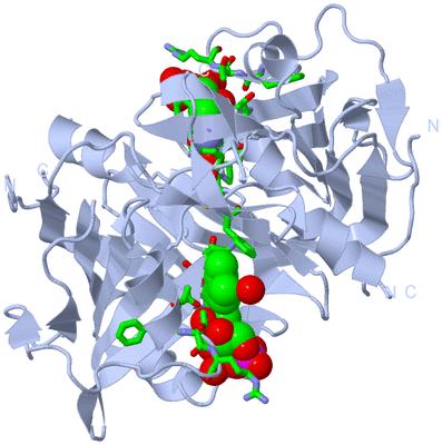 Image Biol. Unit 1 - sites