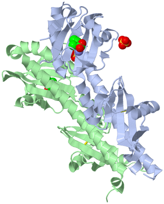 Image Asym./Biol. Unit