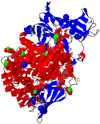 Image Asym./Biol. Unit