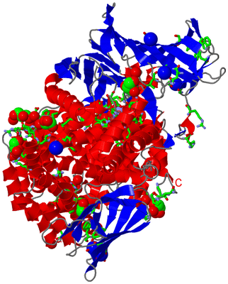 Image Asym./Biol. Unit - sites