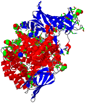 Image Asym./Biol. Unit - sites