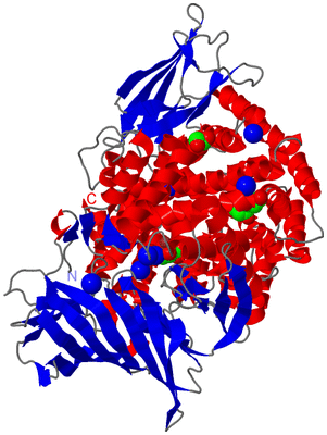 Image Asym./Biol. Unit