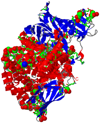 Image Asym./Biol. Unit - sites