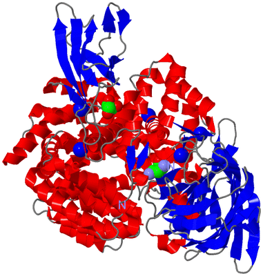 Image Asym./Biol. Unit