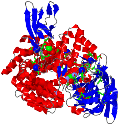 Image Asym./Biol. Unit - sites