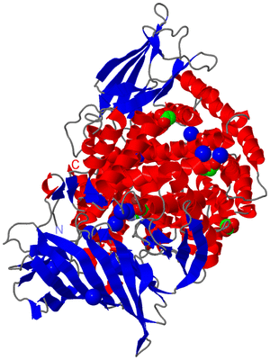 Image Asym./Biol. Unit