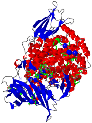 Image Asym./Biol. Unit - sites