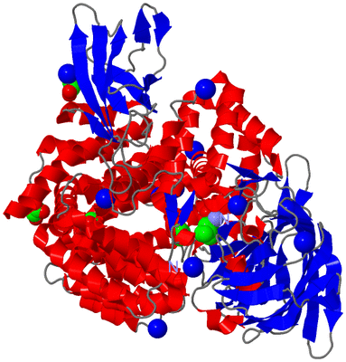 Image Asym./Biol. Unit