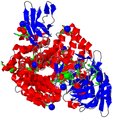 Image Asym./Biol. Unit - sites