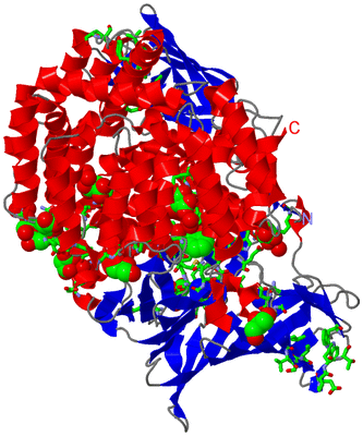 Image Asym./Biol. Unit - sites